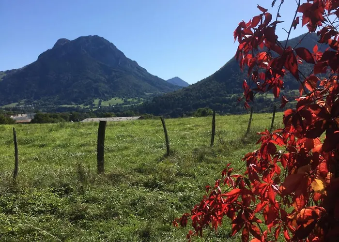 La Buissonniere